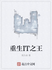 重生IT之王